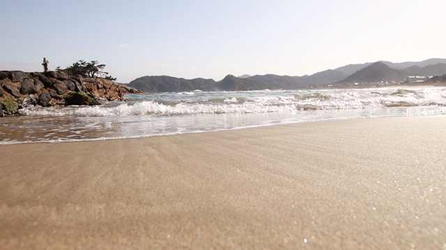 引きこもり…でもないの記事動画