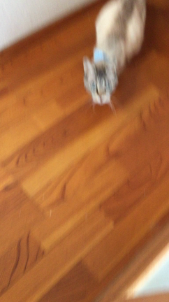 そらの思い出の記事動画