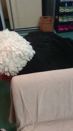 春祭り～番外編～の記事動画