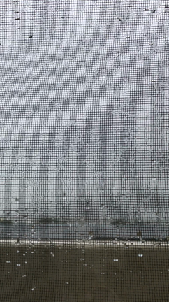 書類の断捨離、台風4号の記事動画