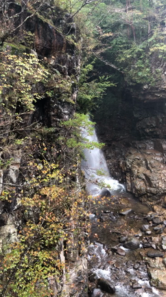 日光二荒山神社　龍王峡　船場亭　母娘旅2の記事動画