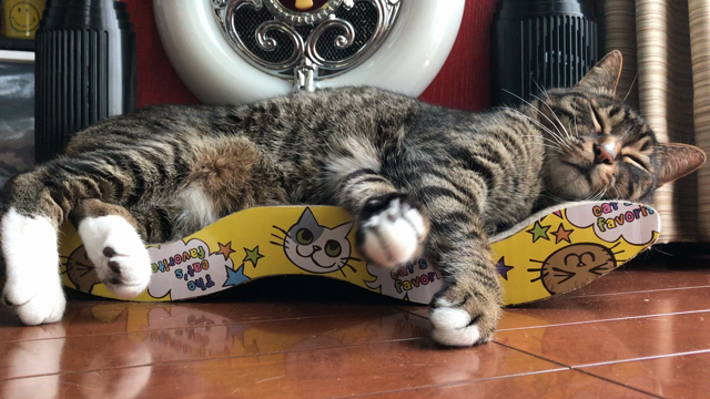 “The future can change the past.”の記事動画