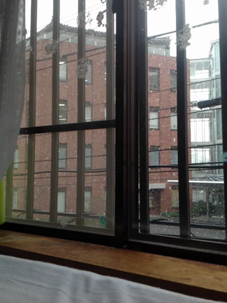 雪が一瞬降りましたの記事動画