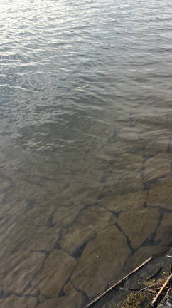 ゴールデンウィーク前半の記事動画