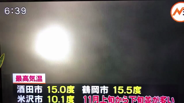 《出店レポ》初めての平日マルシェありがとうございました！の記事動画