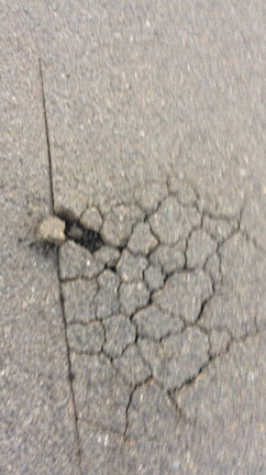 大丈夫なんだろうかの話の記事動画