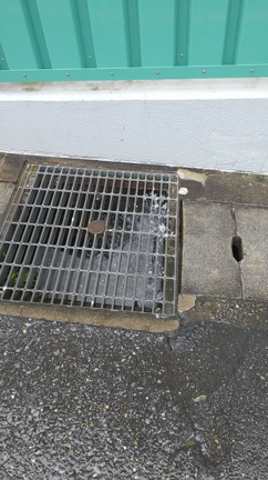 入場再開浦和競馬初日のお馬ちゃんの記事動画