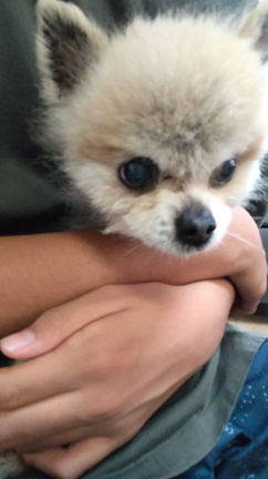 電話で検査結果を聞くの記事動画