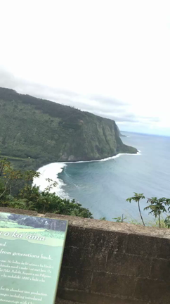 WAIPIO LOOKOUTの記事動画