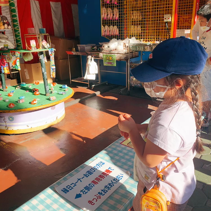 ねこたちは、少しばかりお留守番。の記事動画