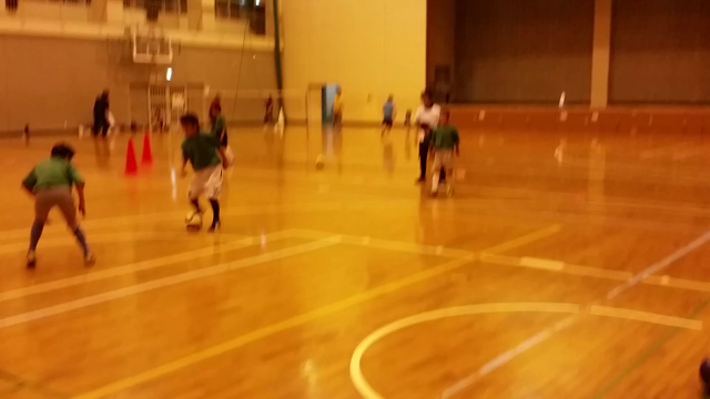 野人と獣(。-_-。)♪の記事動画