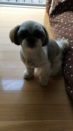 おはようございます（笑）の記事動画