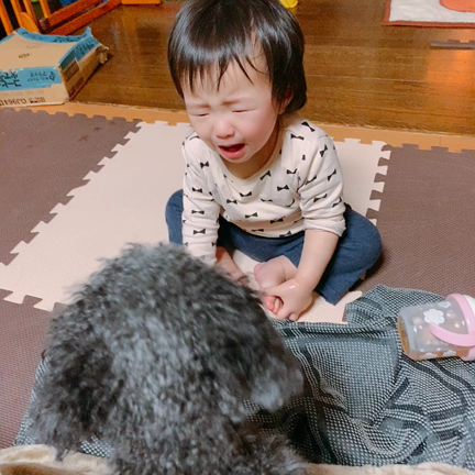 メンタルリープ中娘よりまいっちゃうのは…の記事動画