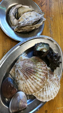 海鮮の記事動画