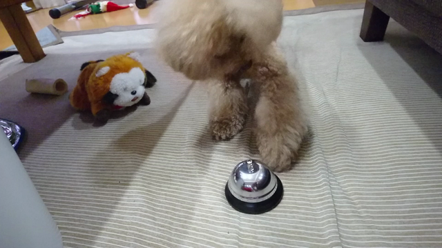 「ニンニク入れますか？」と新しい芸の記事動画