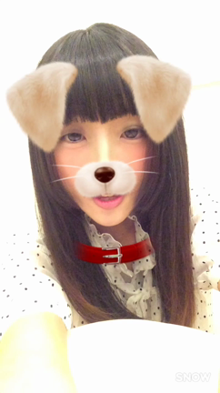 ３回目のしーちゃん。の記事動画