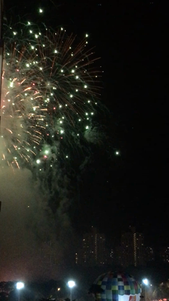 あけましておめでとうございますの記事動画