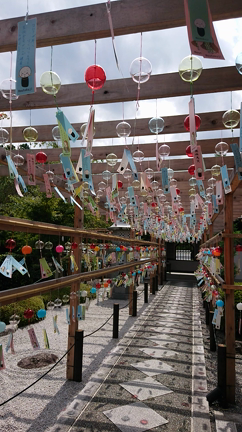 桐生市の記事動画