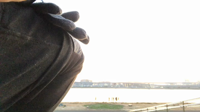 初日の出♪の記事動画