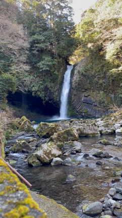 伊豆プチ旅行^_^の記事動画