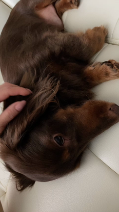 水分補給忘れずに！の記事動画