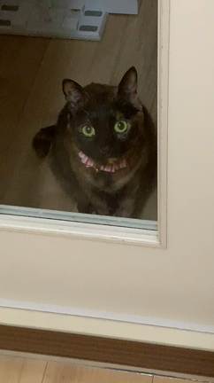 命と向き合う②新しい先生との出会いの記事動画