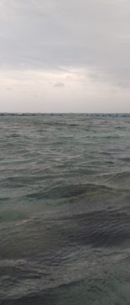 ７月も終わり…の記事動画