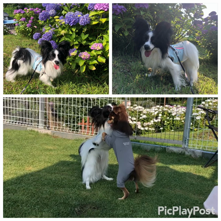 お付き合いいただき有難うございましたの記事動画