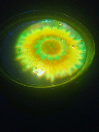 チームラボ・ボーダレスレポ٩(๑′∀ ‵๑)۶•*¨*•.¸¸♪の記事動画