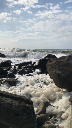 波の花の記事動画