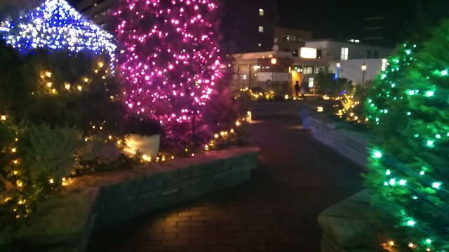 ひと足お先に☆クリスマスイルミネーションの記事動画
