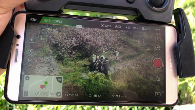 毎年恒例のやつの記事動画