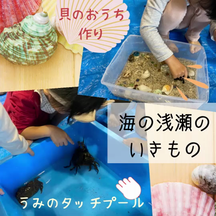 【第三弾！】アビオシティ加賀にいきもの道場がやってくる！の記事動画