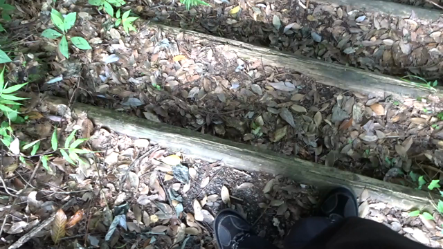 日曜日のねの記事動画