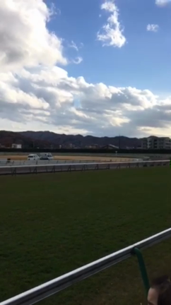 競走馬の迫力にビックリ！(◎_◎;)の記事動画