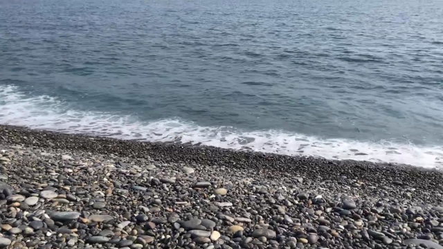 和歌山へ行くよ♪の記事動画