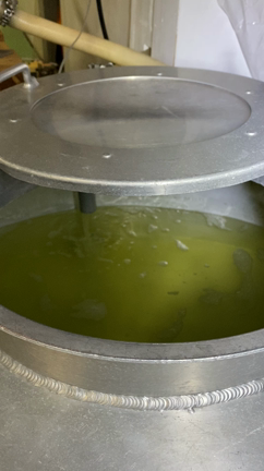 R4BY 初しぼりの記事動画