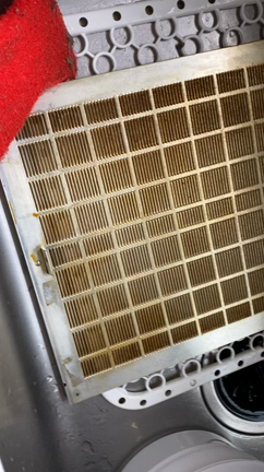 ◆35歳になりました〜◆の記事動画