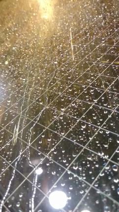 春雷の記事動画