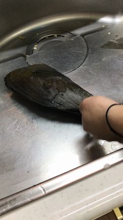 幸子のプライベートに興味ある方はどうぞ（笑）の記事動画