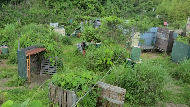 ストロンガー名物プレデター戦の記事動画