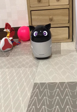 poiqの感想②　(動き、ダンス、会話、アレクサ、写真撮影)の記事動画