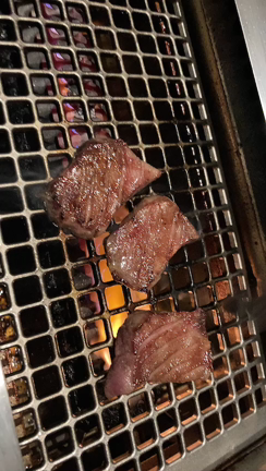 2020年「いい肉の日」♡の記事動画