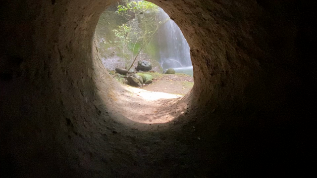 マイナスイオンが爆発してましたー！の記事動画