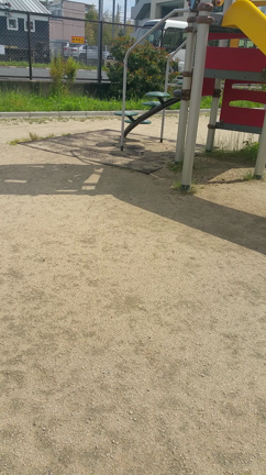 嫌いなことも...の記事動画