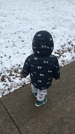 テネシー州ホワイトフライデー＆スカンクの季節の記事動画