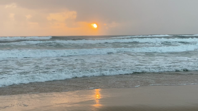 2023年　軽やかに生きる❤️の記事動画
