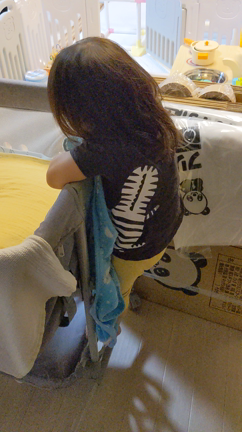 いつもと違う公園（バラ園）への記事動画