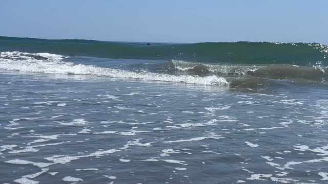 海の日の記事動画