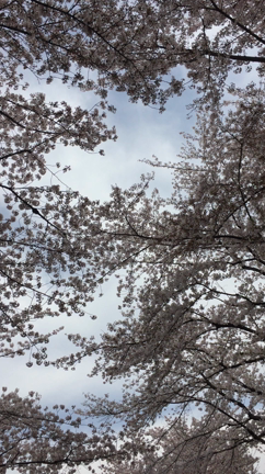 (∗❛ั॒ ູ॒❛ั∗)の記事動画